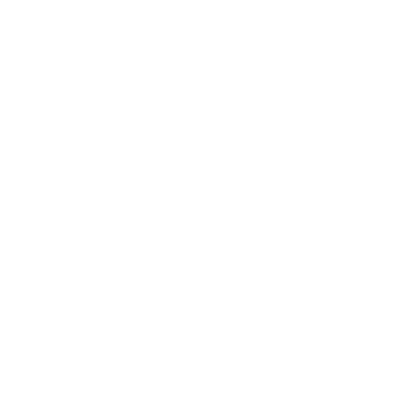 The Branding Friend Logo